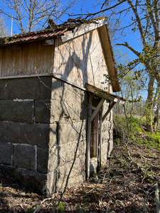 Abb. 106 Nuhjala, Gutsanlage, Eiskeller, Gebäude 10 (lt. Denkmalschutzdoku. 2002), Ansicht Südwest 2023